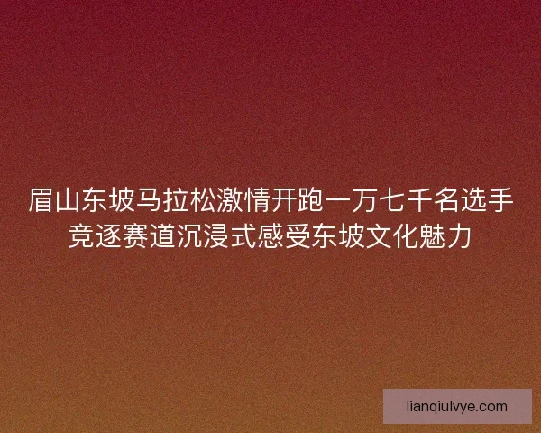眉山东坡马拉松激情开跑一万七千名选手竞逐赛道沉浸式感受东坡文化魅力